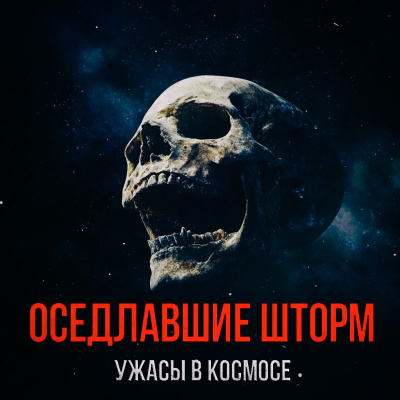 Лугинин Виктор – Оседлавшие Шторм Слушайте книги онлайн бесплатно на knigavushi.com