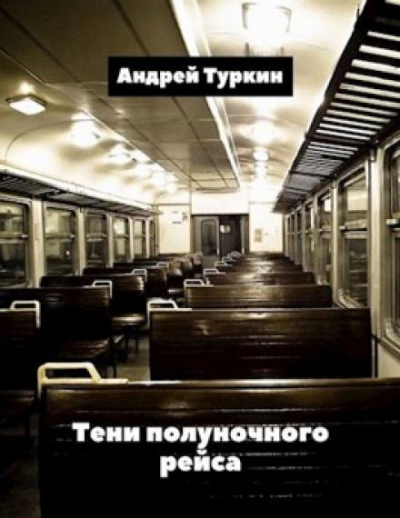 Туркин Андрей - Тени полуночного рейса 🎧 Слушайте книги онлайн бесплатно на knigavushi.com