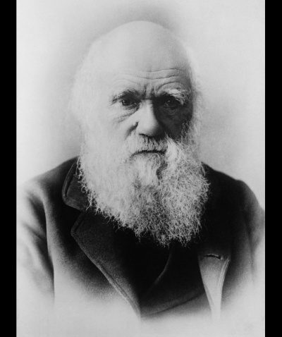 Антон Рай – Кто умнее (по Дарвину и по здравому смыслу) Слушайте книги онлайн бесплатно на knigavushi.com