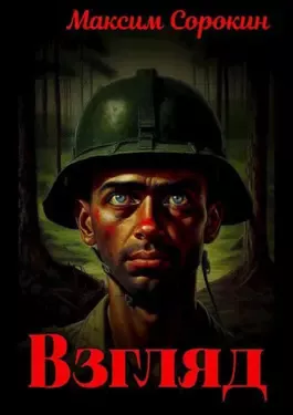 Сорокин Максим – Взгляд Слушайте книги онлайн бесплатно на knigavushi.com