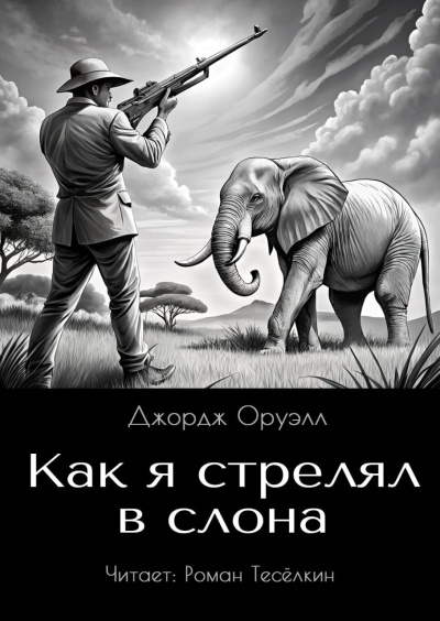 Оруэлл Джордж – Как я стрелял в слона Слушайте книги онлайн бесплатно на knigavushi.com
