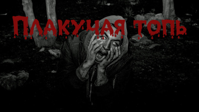 Собиратель тайн – Плакучая Топь Слушайте книги онлайн бесплатно на knigavushi.com