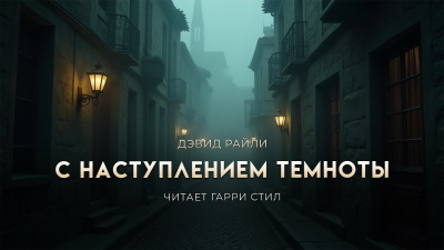 Райли Дэвид – С наступлением темноты 🎧 Слушайте книги онлайн бесплатно на knigavushi.com