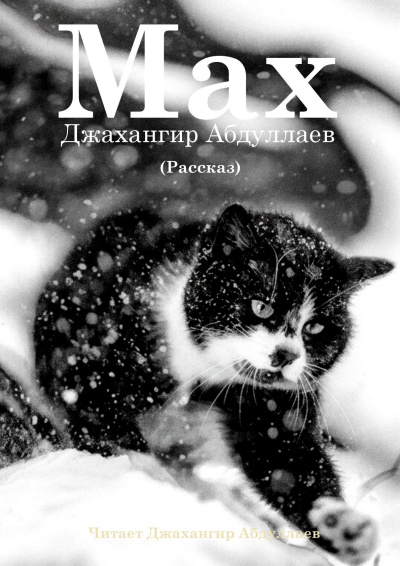 Абдуллаев Джахангир – Макс Слушайте книги онлайн бесплатно на knigavushi.com
