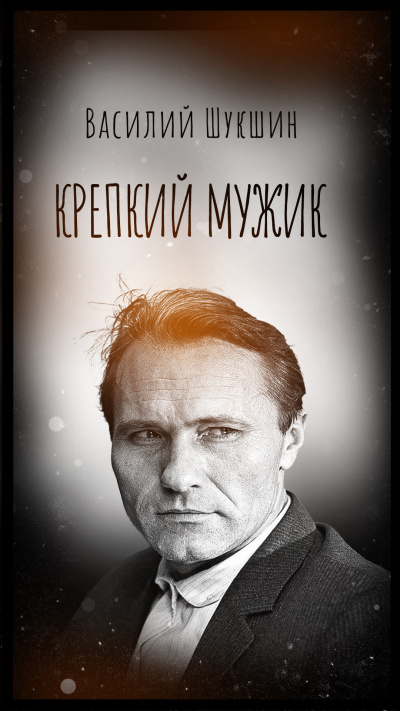 Шукшин Василий – Крепкий мужик Слушайте книги онлайн бесплатно на knigavushi.com