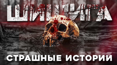 Лихачёва Юлия – Шишига Слушайте книги онлайн бесплатно на knigavushi.com