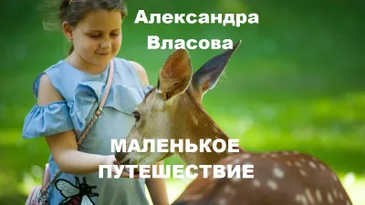Власова Александра – Маленькое путешествие Слушайте книги онлайн бесплатно на knigavushi.com