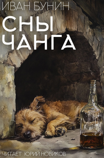 Бунин Иван – Сны Чанга Слушайте книги онлайн бесплатно на knigavushi.com