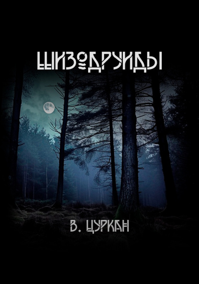 Цуркан Валерий – Шизодруиды Слушайте книги онлайн бесплатно на knigavushi.com