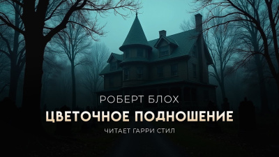  Слушайте книги онлайн бесплатно на knigavushi.com