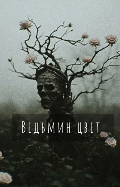 Шитова Екатерина – Ведьмин цвет Слушайте книги онлайн бесплатно на knigavushi.com