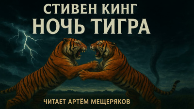 Кинг Стивен – Ночь тигра Слушайте книги онлайн бесплатно на knigavushi.com