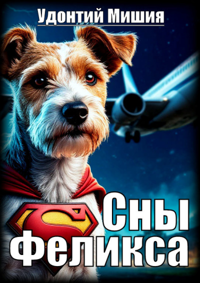 Мишия Удонтий – Сны Феликса Слушайте книги онлайн бесплатно на knigavushi.com