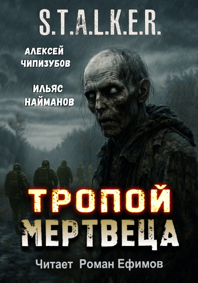 Чипизубов Алексей, Найманов Ильяс – S.T.A.L.K.E.R. Тропой мертвеца Слушайте книги онлайн бесплатно на knigavushi.com