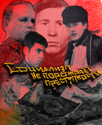 Ракитин Алексей – Социализм не порождает преступности... (серийная преступность в СССР: попытка историко-криминалистического анализа) Слушайте книги онлайн бесплатно на knigavushi.com