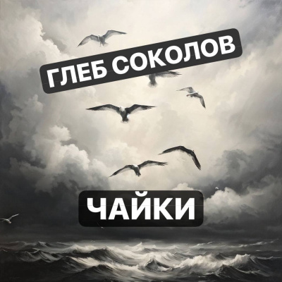 Соколов Глеб – Чайки. Часть 2 Слушайте книги онлайн бесплатно на knigavushi.com