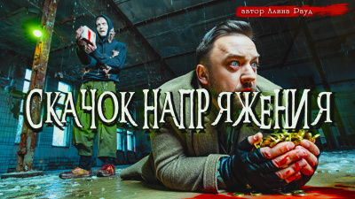 Рауд Алина – Скачок напряжения Слушайте книги онлайн бесплатно на knigavushi.com