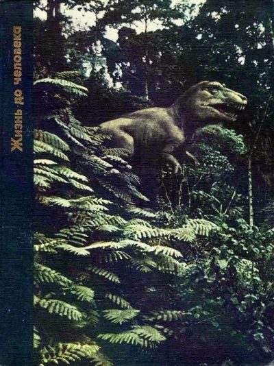 Вуд Питер – Жизнь до человека Слушайте книги онлайн бесплатно на knigavushi.com