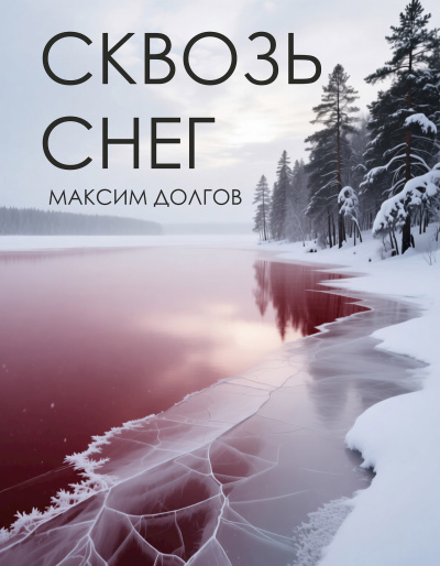 Долгов Максим – Сквозь мнег Слушайте книги онлайн бесплатно на knigavushi.com