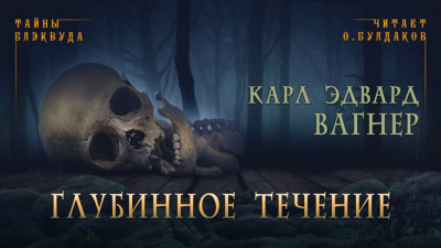 Вагнер Карл Эдвард - Глубинное течение 🎧 Слушайте книги онлайн бесплатно на knigavushi.com