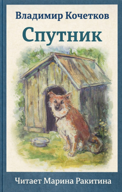 Кочетков Владимир – Спутник Слушайте книги онлайн бесплатно на knigavushi.com
