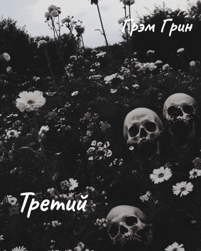 Грин Грэм – Третий Слушайте книги онлайн бесплатно на knigavushi.com