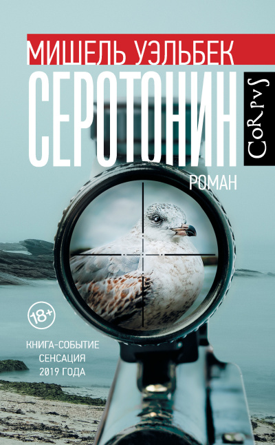 Уэльбек Мишель – Серотонин Слушайте книги онлайн бесплатно на knigavushi.com