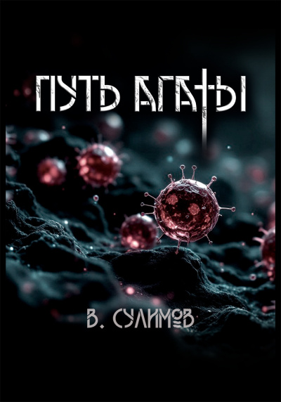 Сулимов Владимир – Путь Агаты Слушайте книги онлайн бесплатно на knigavushi.com