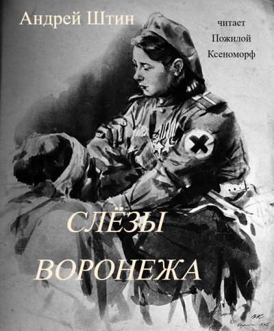 Андрей Штин – Слёзы Воронежа Слушайте книги онлайн бесплатно на knigavushi.com