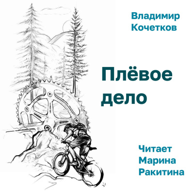 Кочетков Владимир – Плёвое дело Слушайте книги онлайн бесплатно на knigavushi.com