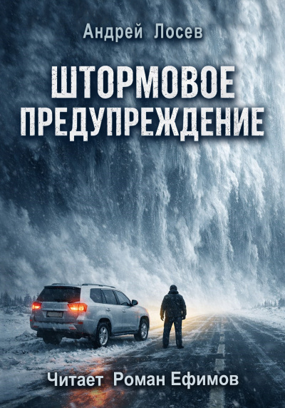 Лосев Андрей – Штормовое предупреждение Слушайте книги онлайн бесплатно на knigavushi.com