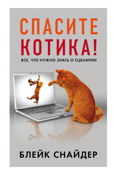 Снайдер Блейк – Спасите котика И другие секреты сценарного мастерства Слушайте книги онлайн бесплатно на knigavushi.com