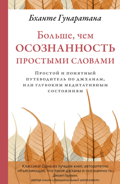 Гунаратана Бханте Хенепола – Больше, чем осознанность простыми словами. Простой и понятный путеводитель по джханам, или глубоким медитативным состояниям Слушайте книги онлайн бесплатно на knigavushi.com
