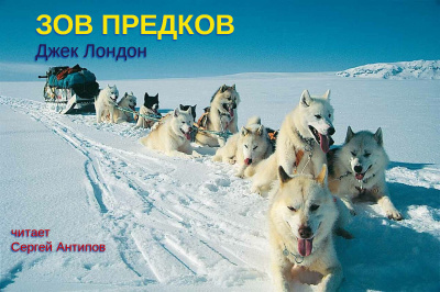 Лондон Джек - Зов предков Слушайте книги онлайн бесплатно на knigavushi.com