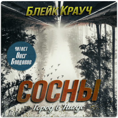 Крауч Блейк - Город в Нигде Слушайте книги онлайн бесплатно на knigavushi.com