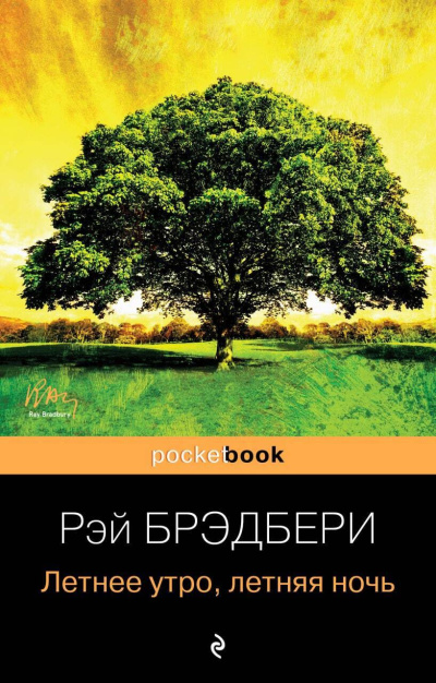 Брэдбери Рэй - Летнее утро, летняя ночь Слушайте книги онлайн бесплатно на knigavushi.com