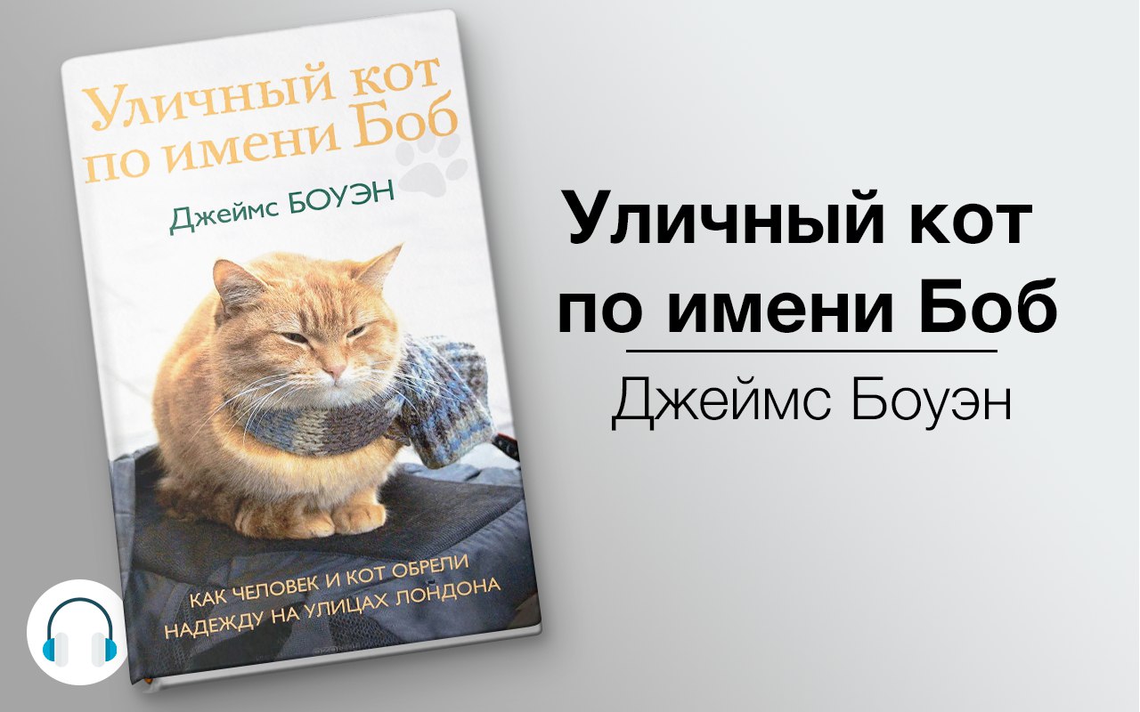 Уличный кот по кличке Боб книга. Аудиокниги кот который