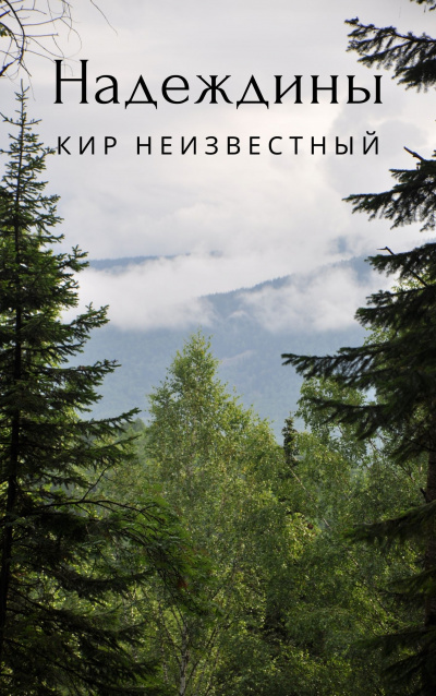 Кир Неизвестный - Надеждины 🎧 Слушайте книги онлайн бесплатно на knigavushi.com