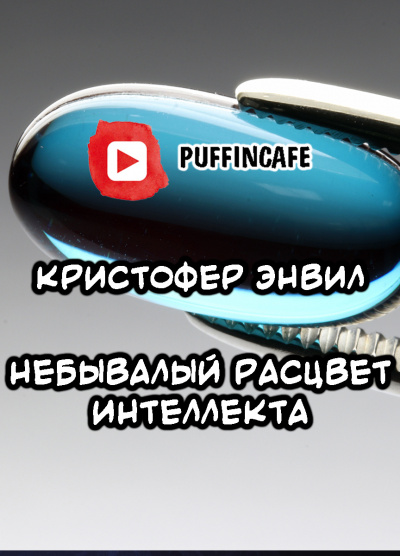 Энвил Кристофер - Небывалый расцвет интеллекта 🎧 Слушайте книги онлайн бесплатно на knigavushi.com