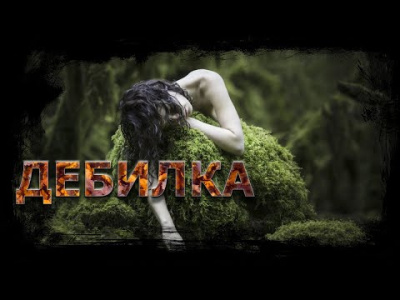 Шиков Евгений - Дебилка 🎧 Слушайте книги онлайн бесплатно на knigavushi.com