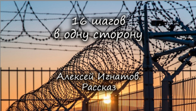 Игнатов Алексей - 16 шагов в одну сторону 🎧 Слушайте книги онлайн бесплатно на knigavushi.com