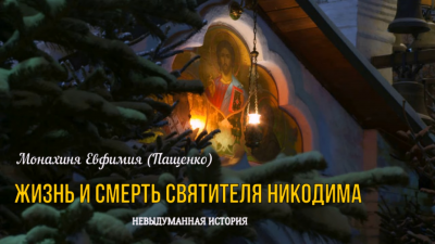 Пащенко Евфимия - Жизнь и смерть святителя Никодима 🎧 Слушайте книги онлайн бесплатно на knigavushi.com