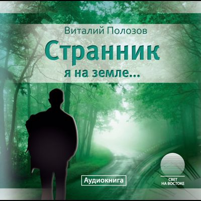 Полозов Виталий - Странник я на земле... 🎧 Слушайте книги онлайн бесплатно на knigavushi.com