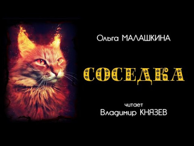 Малашкина Ольга - Соседка 🎧 Слушайте книги онлайн бесплатно на knigavushi.com