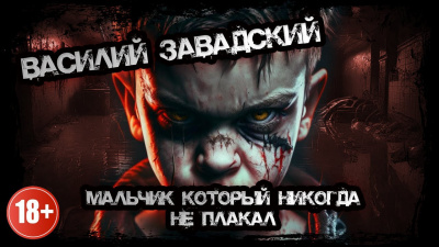 Завадский Василий - Мальчик, который никогда не плакал 🎧 Слушайте книги онлайн бесплатно на knigavushi.com