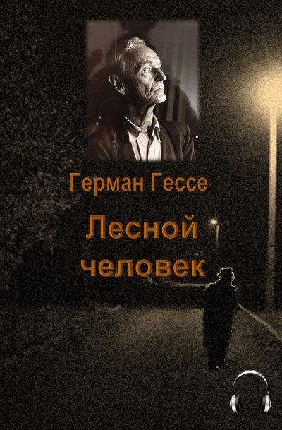 Гессе Герман - Лесной человек 🎧 Слушайте книги онлайн бесплатно на knigavushi.com