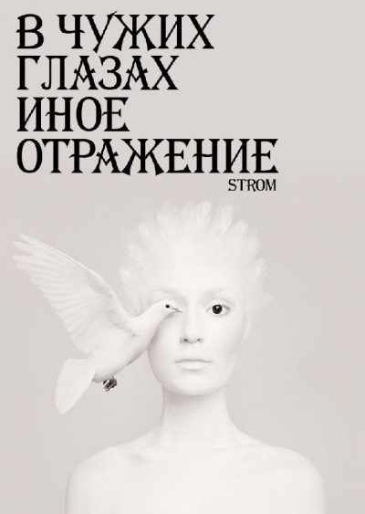 Романов Станислав - В чужих глазах иное отражение 🎧 Слушайте книги онлайн бесплатно на knigavushi.com