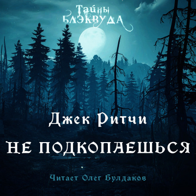 Ритчи Джек - Не подкопаешься 🎧 Слушайте книги онлайн бесплатно на knigavushi.com