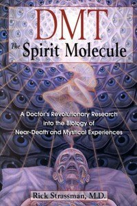 ​​ДМТ. Молекула духа 🎧 Слушайте книги онлайн бесплатно на knigavushi.com