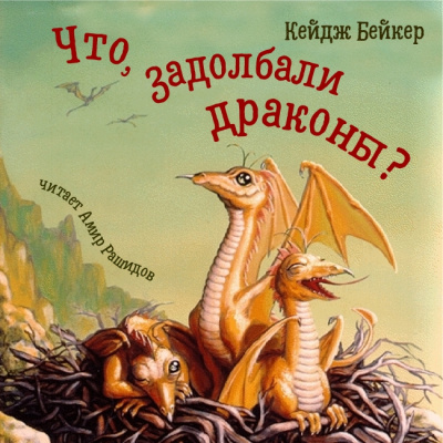 Бейкер Кейдж - Что, задолбали драконы 🎧 Слушайте книги онлайн бесплатно на knigavushi.com